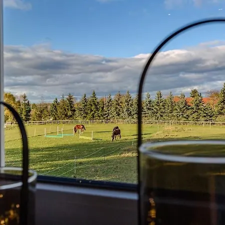 Harzliebe - Am Fusse Des Brocken Apartmán Wernigerode